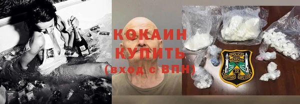 крисы Алексин