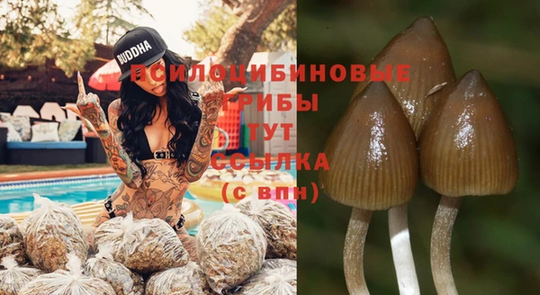 Альфа ПВП Заволжье