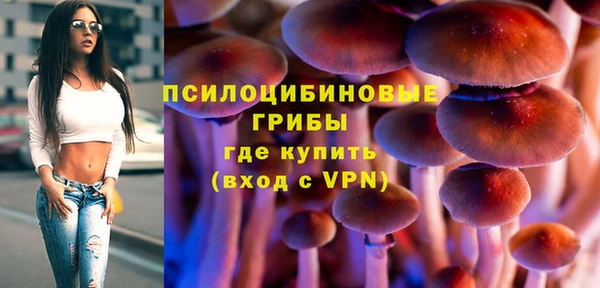 крисы Алексин