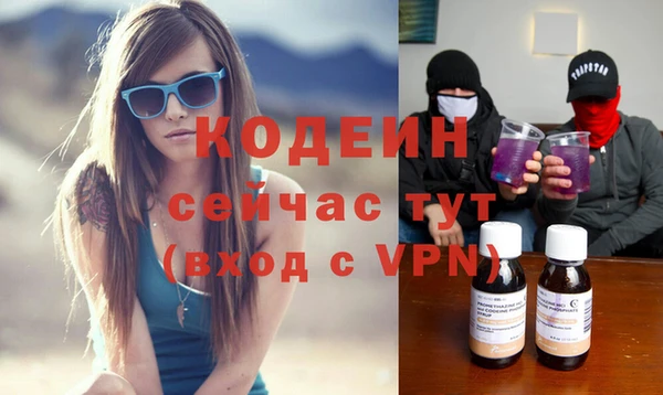шишки Приозерск